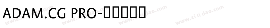 ADAM.CG PRO字体转换